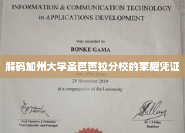 探索加州大学圣芭芭拉分校的璀璨荣耀之路
