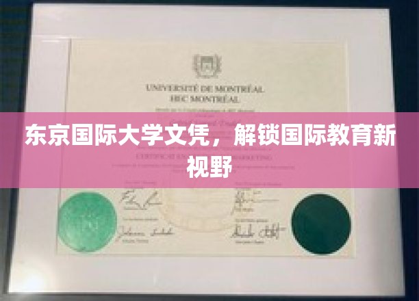 东京国际大学文凭，开启全球视野新篇章